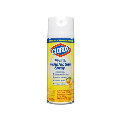 Main 1 - DISINFECTANT SPRAY CITRUS 14OZ - Arlington Coal & Lumber