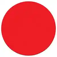 Main 1 - DISC RAND ORB SANDER 6IN 80G - Arlington Coal & Lumber