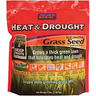 SEED GRASS HEAT/DROUGHT 3LB - Arlington Coal & Lumber