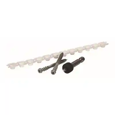 BOX CORTEX 2-3/4" WHITE COLLATED KLEER TRIM SCREWS (250 LF) (375 SCREWS; 400 PLUGS) - Arlington Coal & Lumber