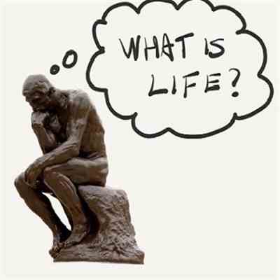 RUBBER-ALL "LOW VOC" SEAM TAPE PRIMER QT. (LVPR-14) - Wilmington Builders Supply Co.