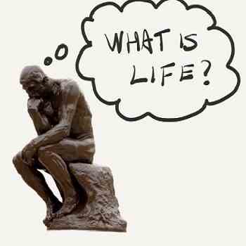 Main 1 - RUBBER-ALL "LOW VOC" SEAM TAPE PRIMER QT. (LVPR-14) - Arlington Coal & Lumber