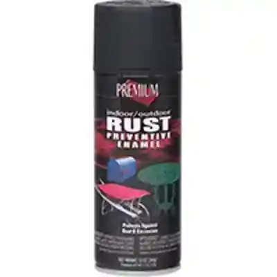 PAINT SPRAY IN EX FLT BLK 12OZ - Arlington Coal & Lumber