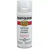 Main 2 - 7701830 CLR SPRAY PROTECT 12OZ - Arlington Coal & Lumber