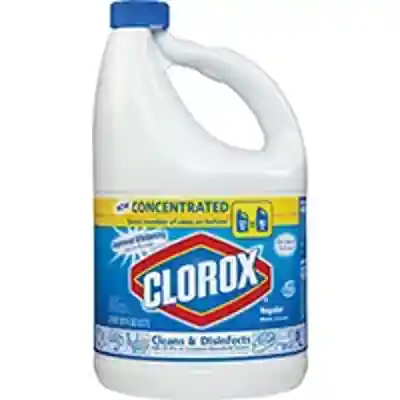 BLEACH LIQUID CONC REG 121 OZ - Arlington Coal & Lumber