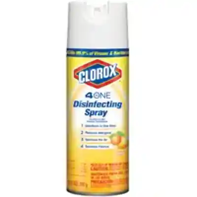 DISINFECTANT SPRAY CITRUS 14OZ - Arlington Coal & Lumber