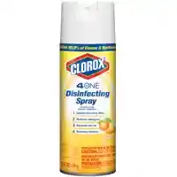 Main 2 - DISINFECTANT SPRAY CITRUS 14OZ - Arlington Coal & Lumber