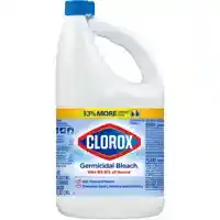 Main 2 - BLEACH CONC GERMICIDAL 6/81OZ - Arlington Coal & Lumber