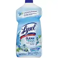 Main 2 - 78630/93707 LYSOL ALL PURP CLN CLEANER LYSOL  POUR FRESH - Arlington Coal & Lumber