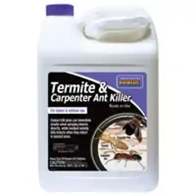GAL RTU TERMITE/CRPTR ANT KILL - Arlington Coal & Lumber