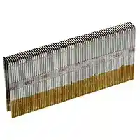 Main 2 - SENCO 2" GALV STAPLES (7/16" CROWN) 10.0M FOR M2+ 16 GAUGE STAPLE **** N21 BAB **** - Arlington Coal & Lumber