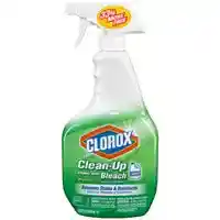 Main 2 - CLOROX CLEAN-UP SPRAY 32 OZ. (01204) - Arlington Coal & Lumber