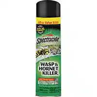 Main 1 - 20OZ WASP & HORNET SPRAY - Arlington Coal & Lumber