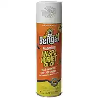Main 1 - KILLER WASP/HORNET FOAM 18 OZ - Arlington Coal & Lumber