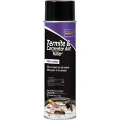 370 TERMITE/CARPENTER ANT SPRY - Arlington Coal & Lumber