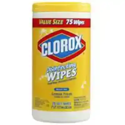 DISINFECTING WIPES LEMON 75CT - Arlington Coal & Lumber