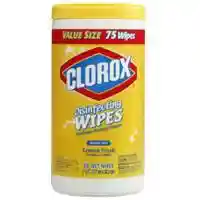 Main 1 - DISINFECTING WIPES LEMON 75CT - Arlington Coal & Lumber
